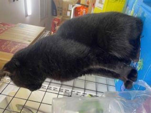 あとすこし