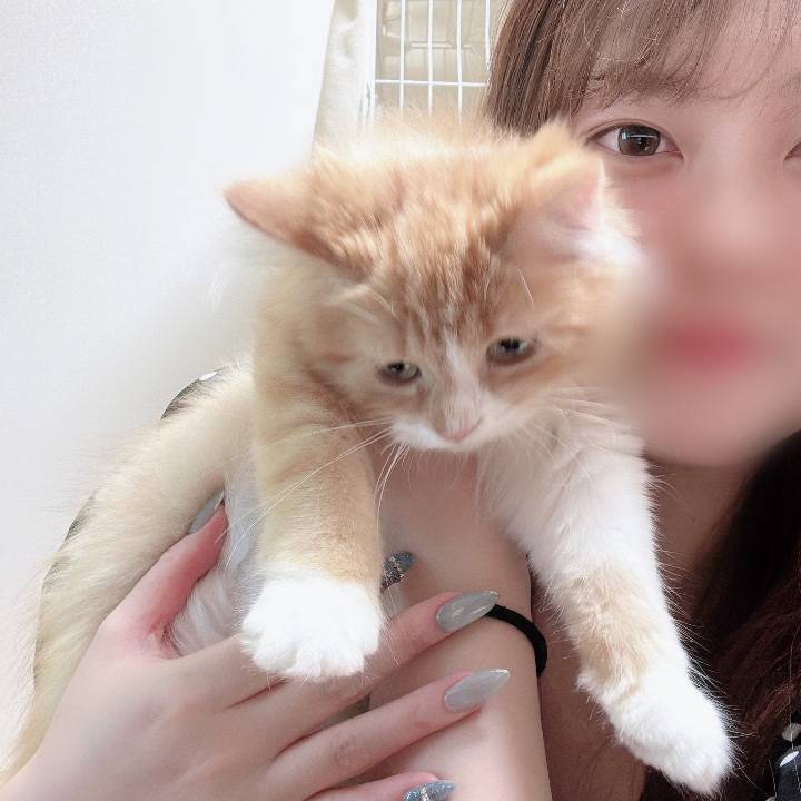 家族が増えました🐱