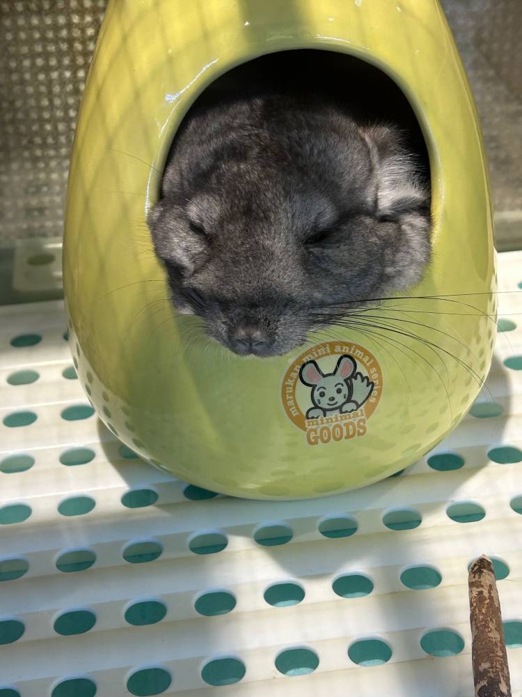 な、な、、んと！