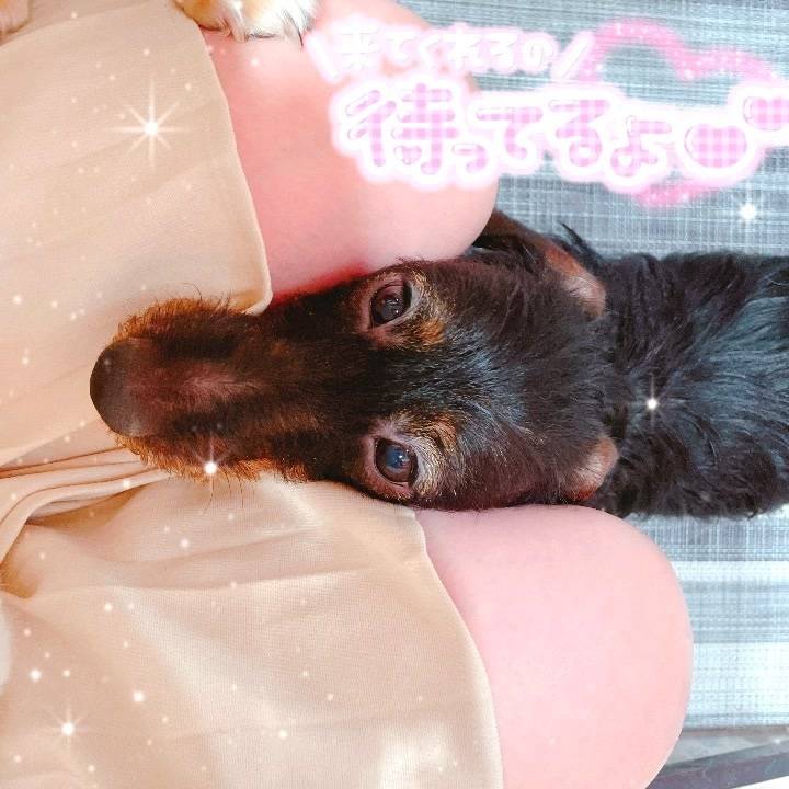 …イッちゃった♡♡