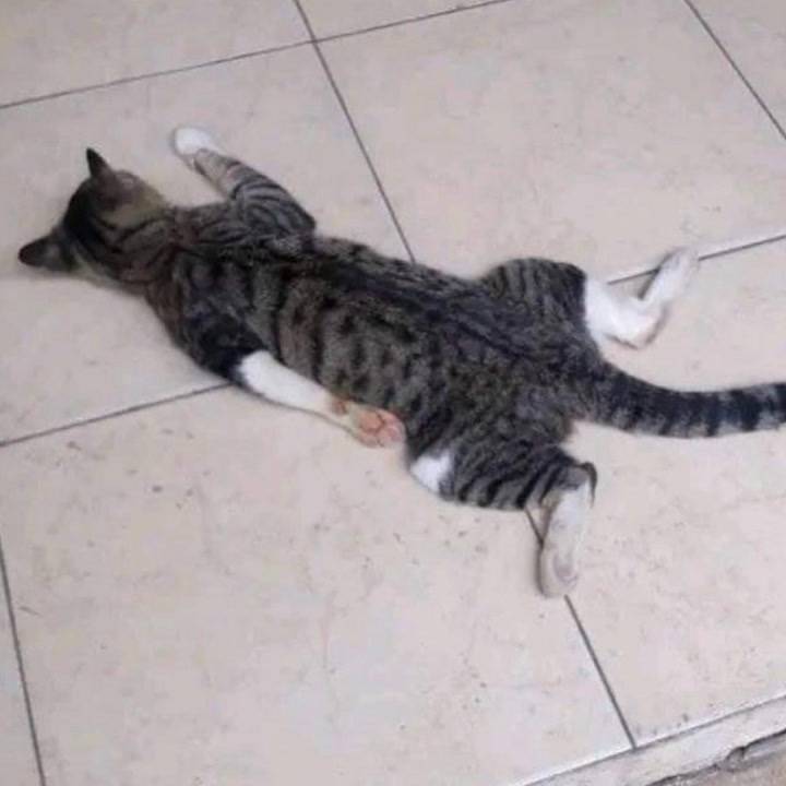 ごめんなさいm(._.)m