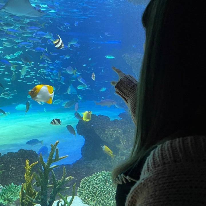 出勤と最近のお話🐰