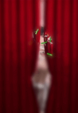 【動画投稿テスト】ヒメチャンをフラワーしてねー👏🏻