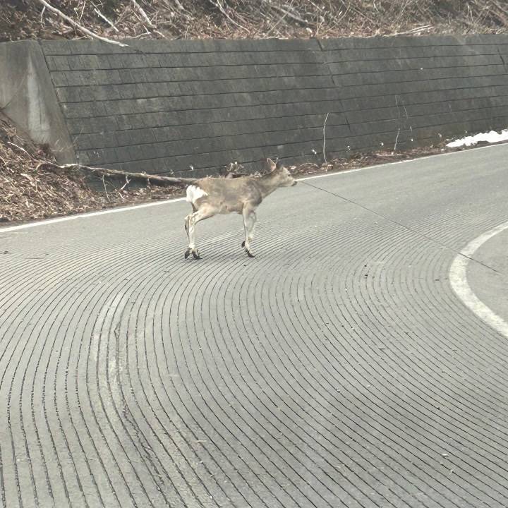 予約メッセージ待ち