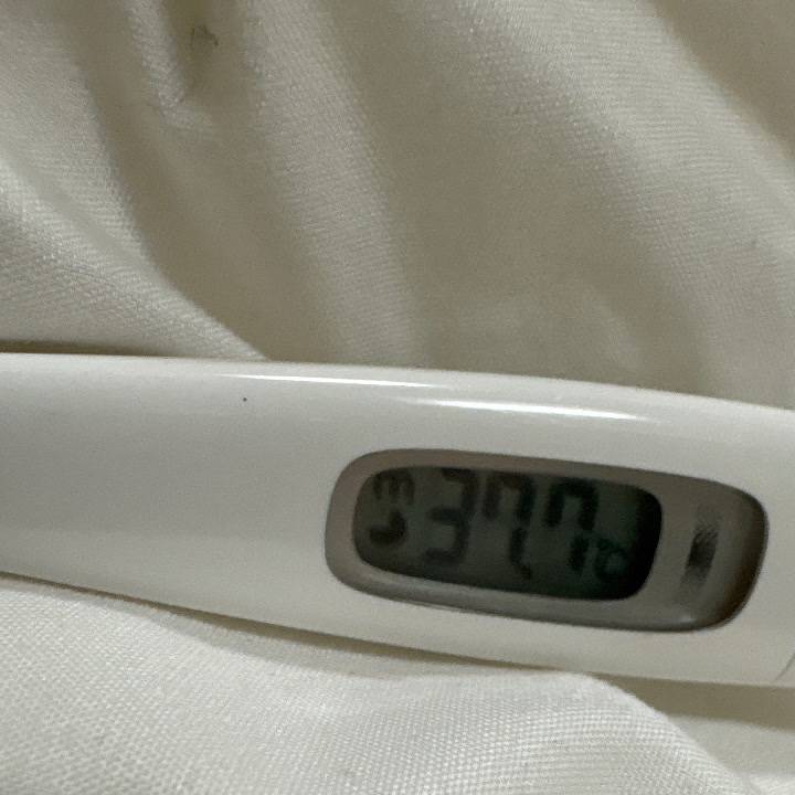 お休み頂きました泣