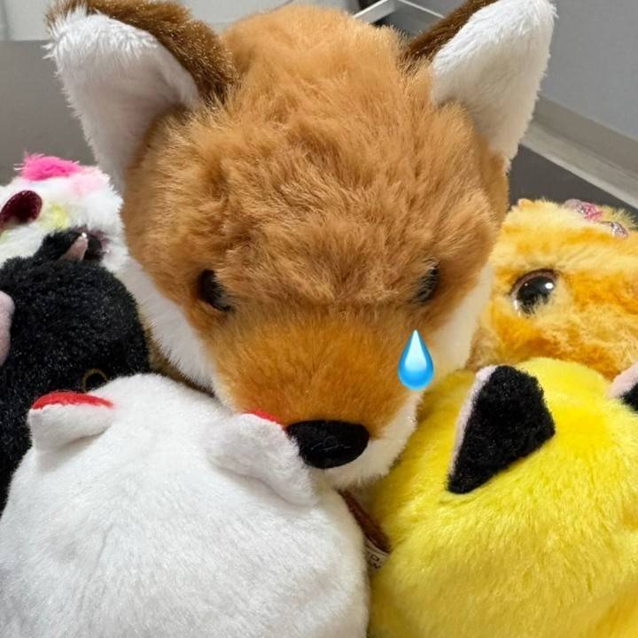 すみません💦😢