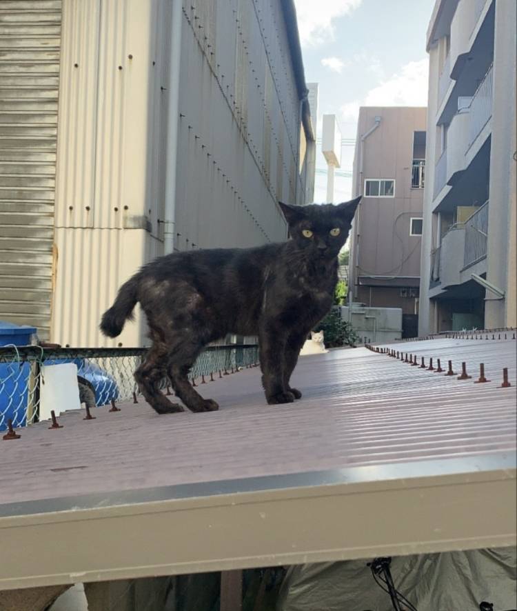予約完売ありがとうございます🐾