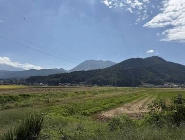 毎年恒例の