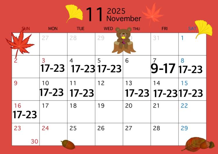 11/16までの❣️よろしくだ🥳