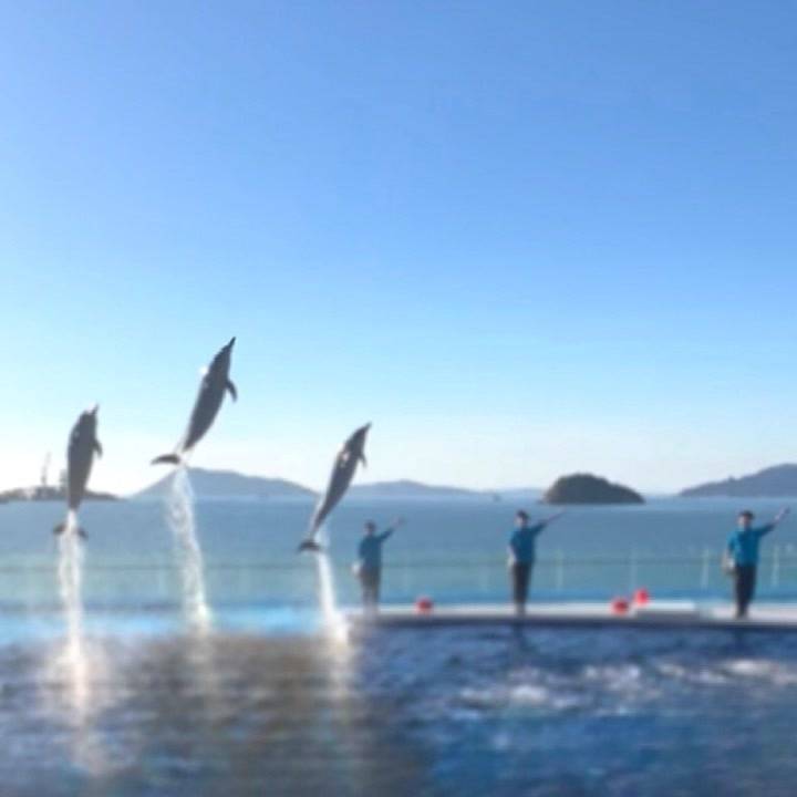 水族館