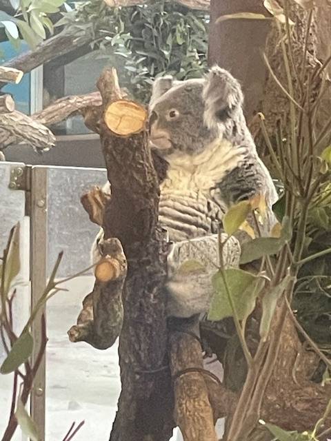 ありがとう！！