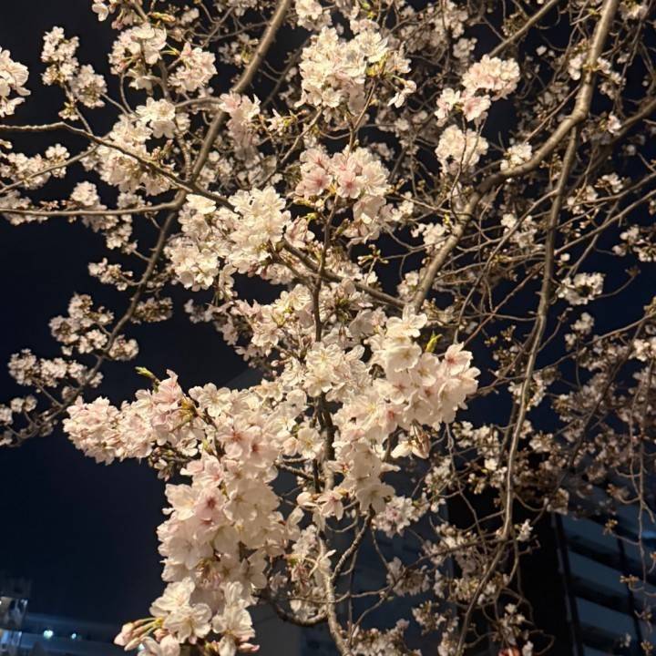 21時~空きです🔥