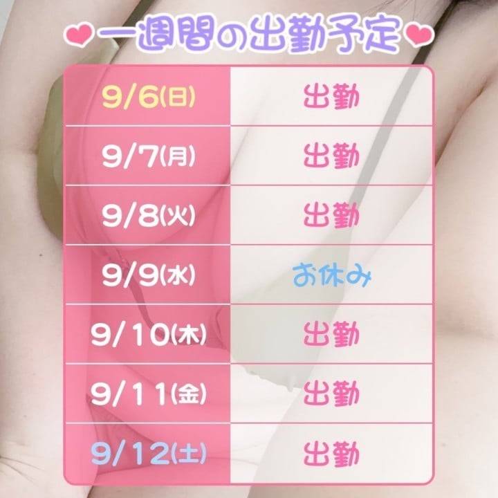 スケジュール🗓