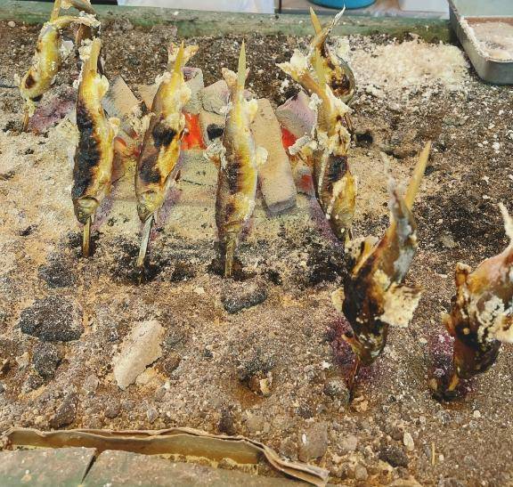 [お題]from:ヨーヨー釣りさん