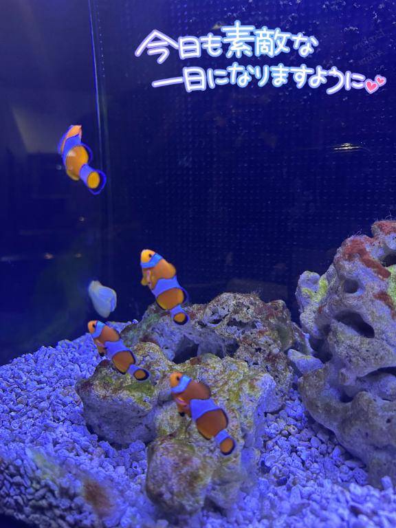 [お題]from:爽健美茶さん