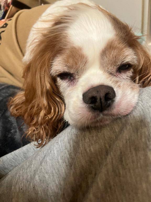 帰ったら...(T^T)