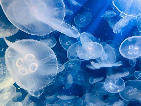 ごめんなさい(/.    .\)