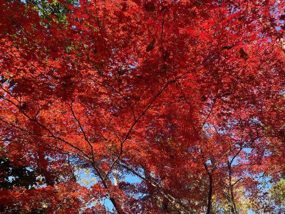 昨日満了ありがとうございました?