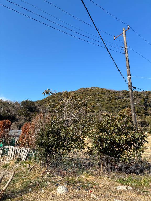 なんとか無事に