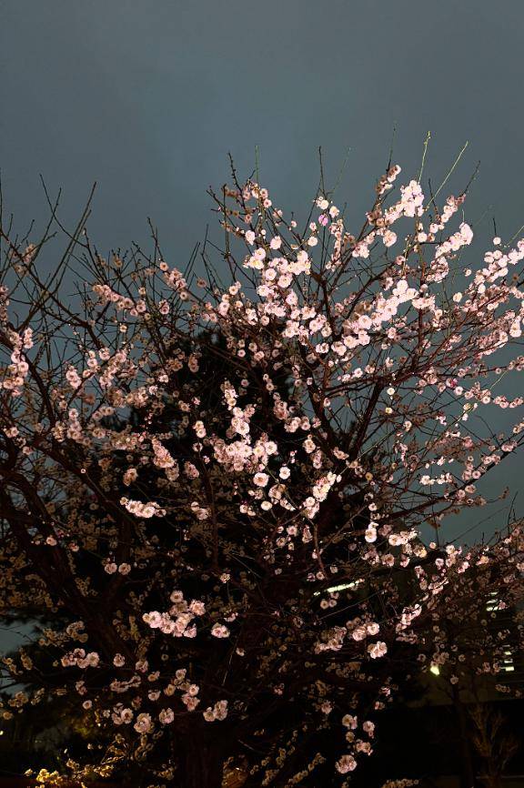 お知らせです????? ??-