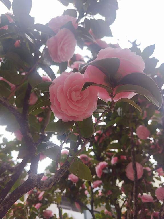 大胆になれる秘密?