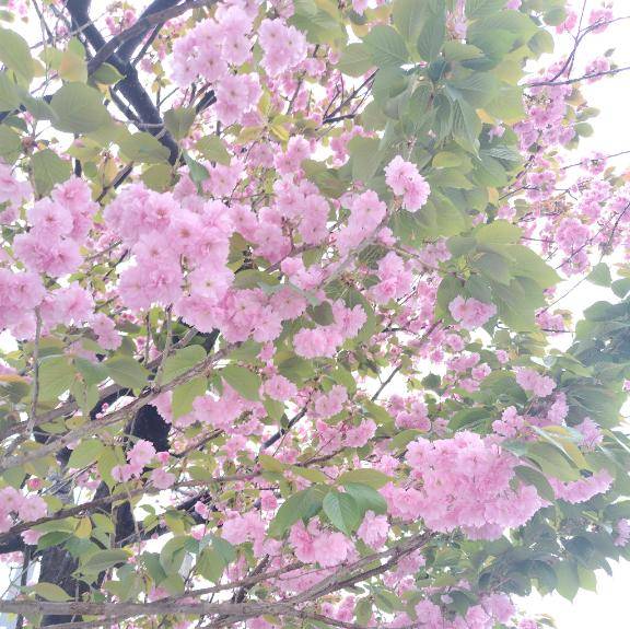 とっても えらい?