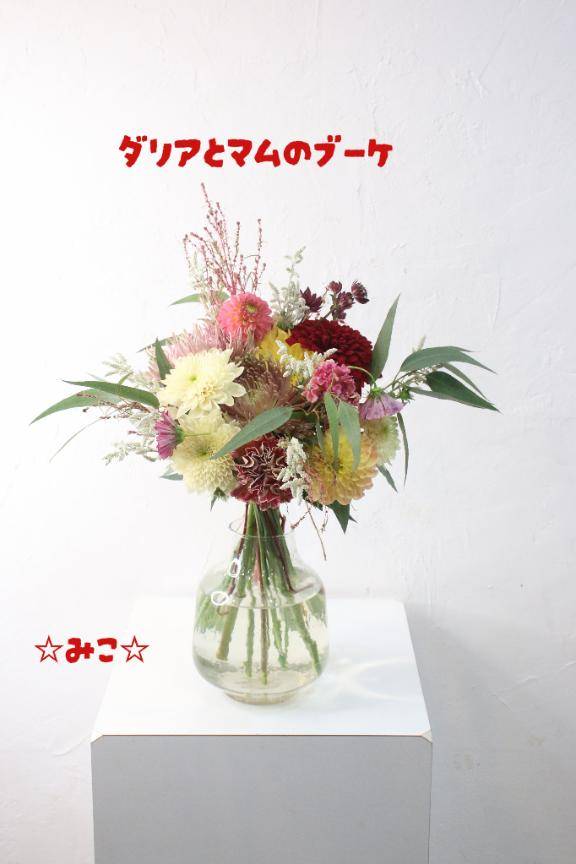 おはよー?