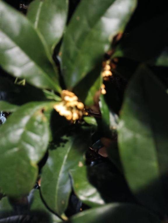 [お題]from:シャボンさん