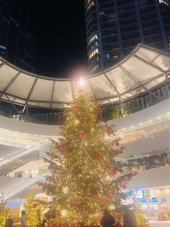 明日はNTRにおります????