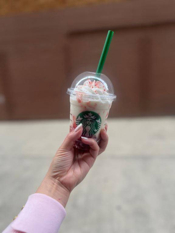 朝からお盛んです