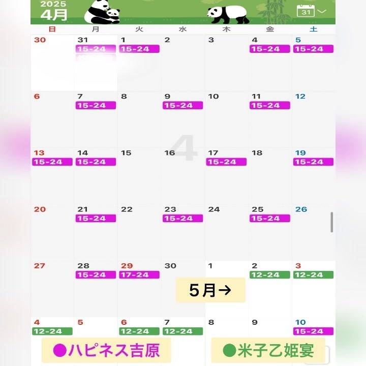 4月〜GW明けの予定です🌻