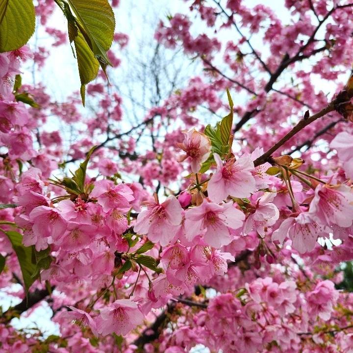3月もありがとう♡