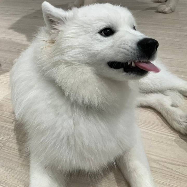 癒し～(´͈ ᵕ `͈ )♡
