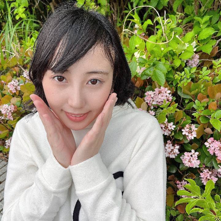 お花