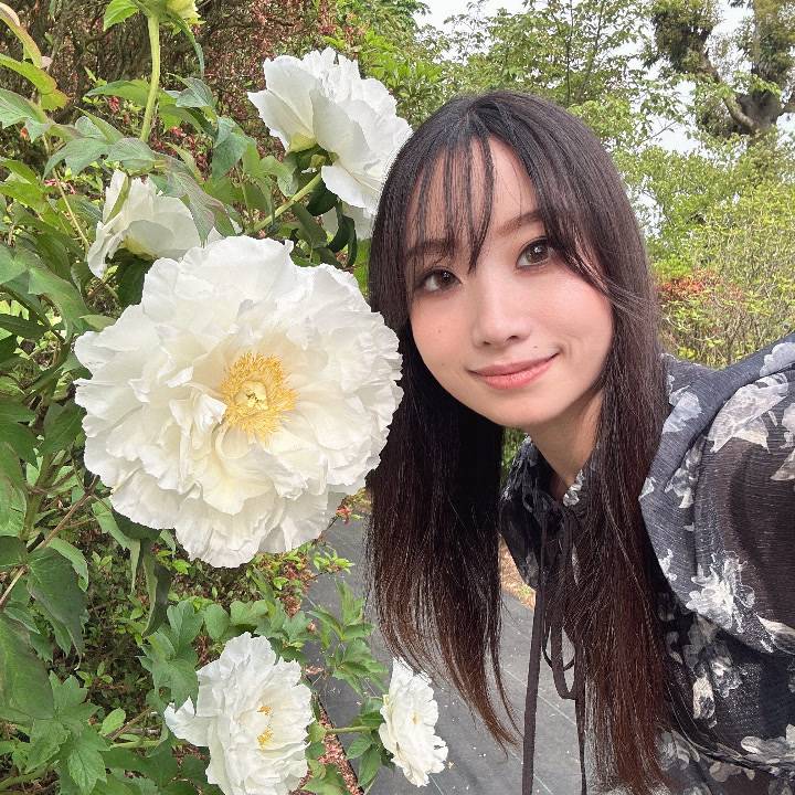 牡丹のお花と🌼