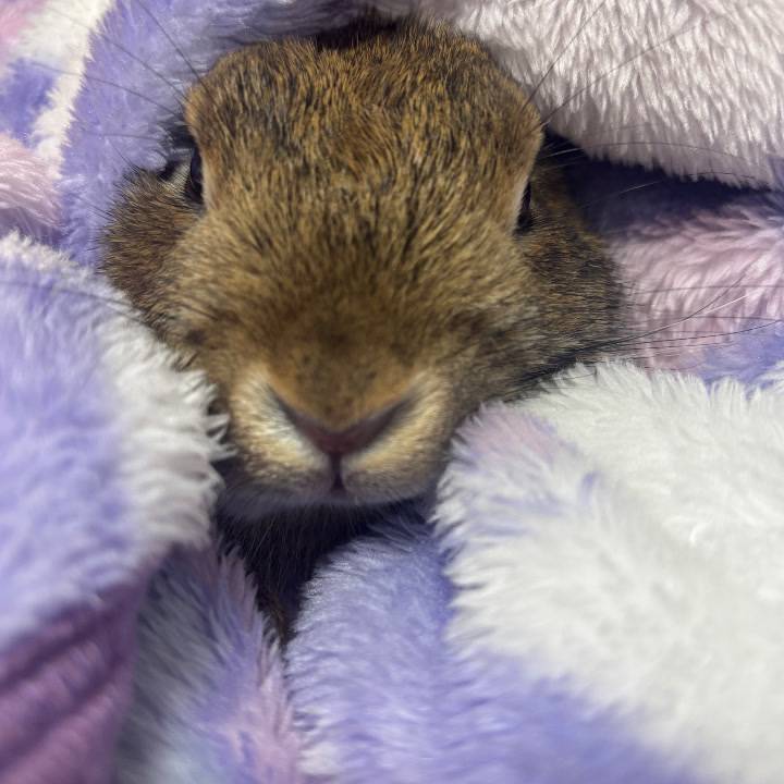 すいません