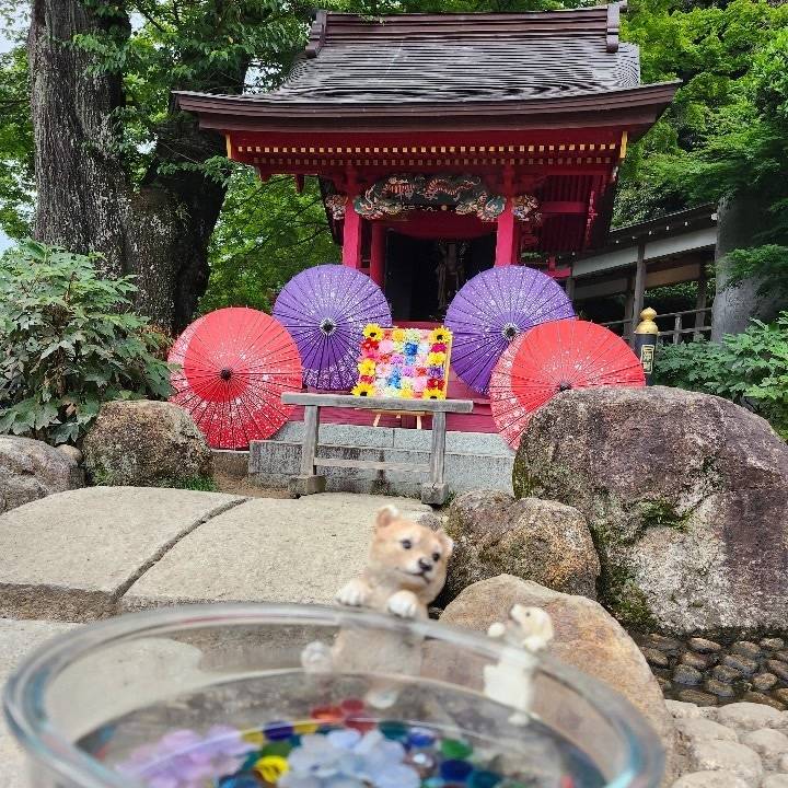 ラッキー七夕🌌