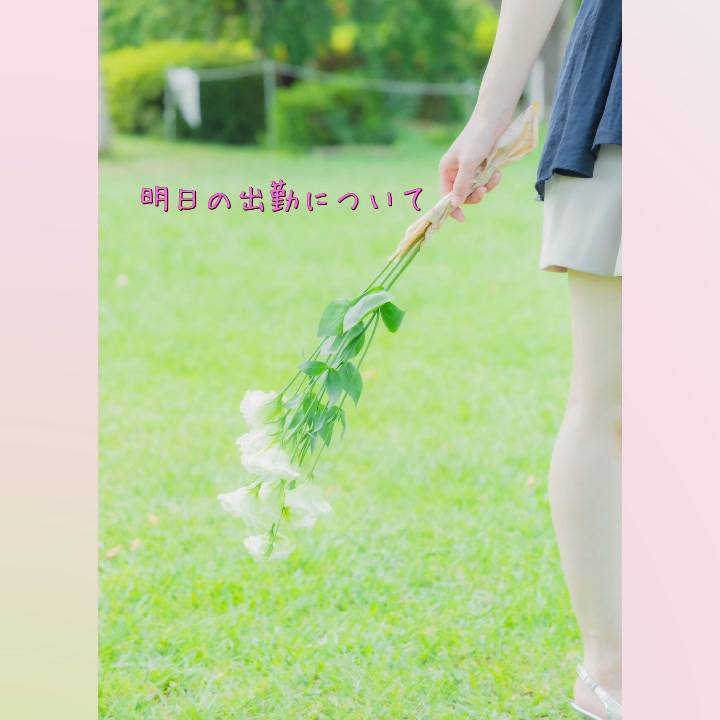 明日の出勤について🙇‍♀️