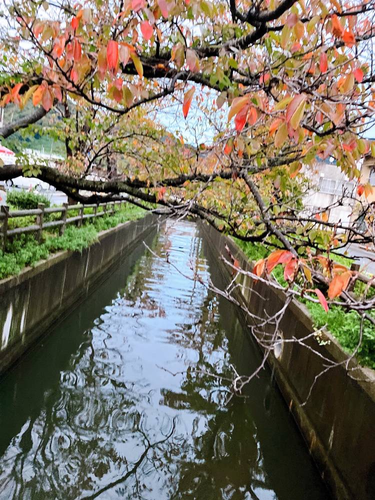 11月もよろしくお願いします！