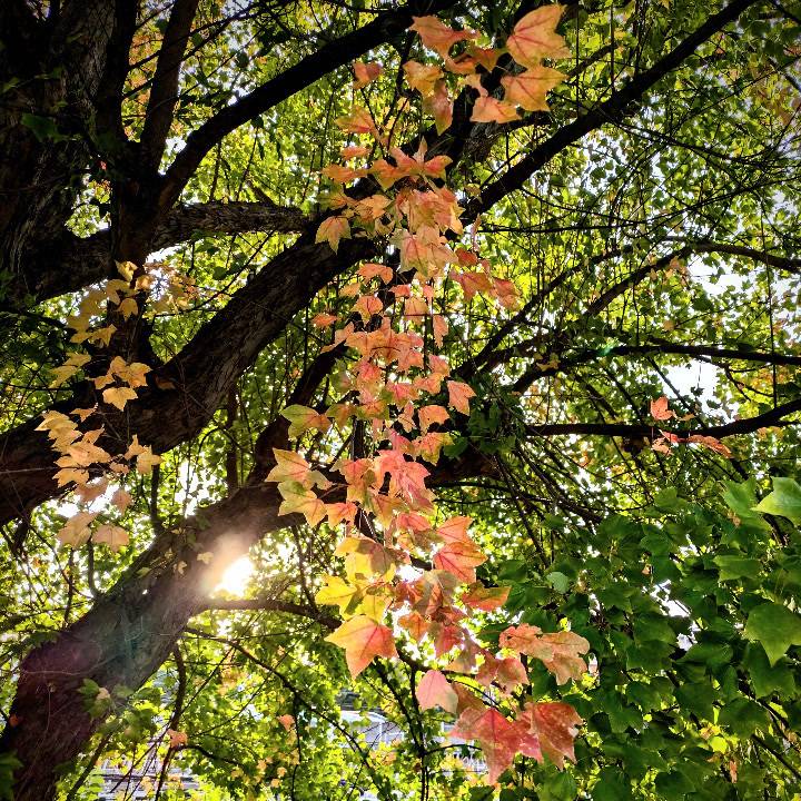 本日17:00〜ラスト出勤です🛁🩷
