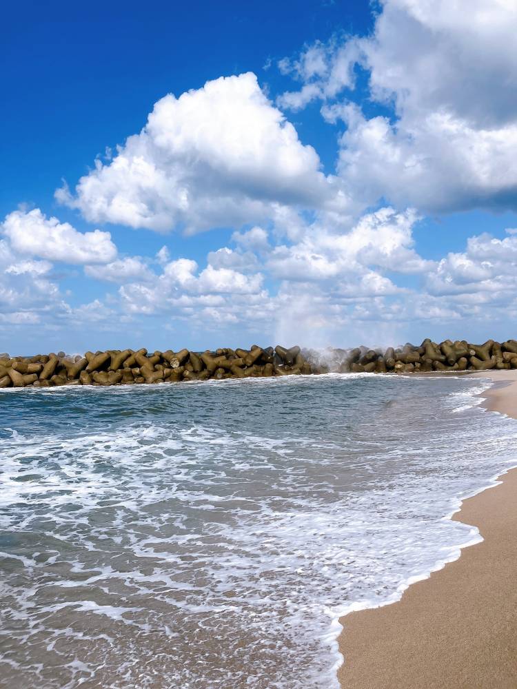 それでも憧れ惹かれ合う海