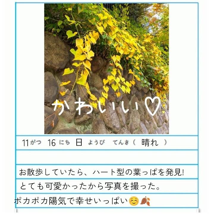 【あやめの休日】お散歩日和のハッピーな1日。