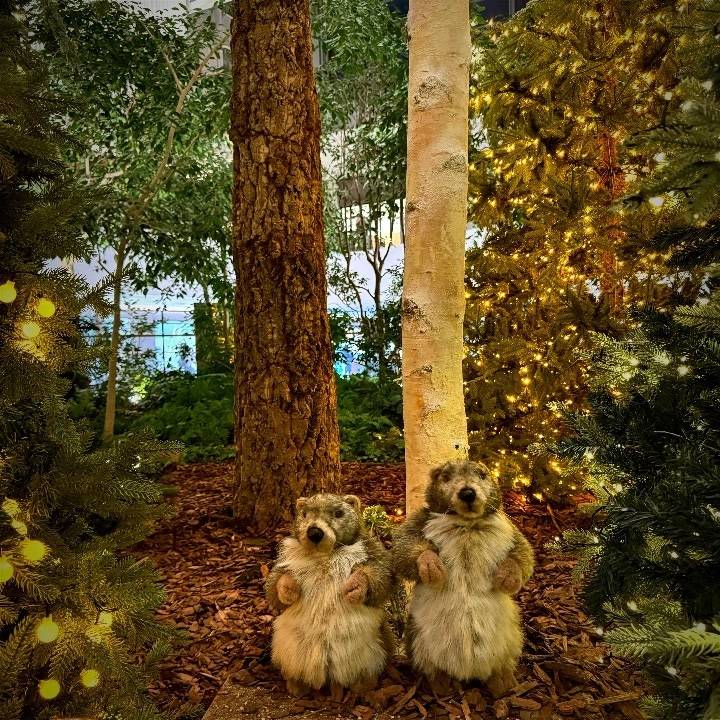 本日の出勤について