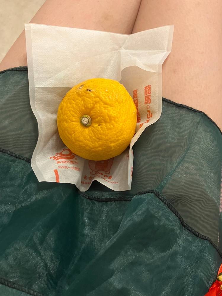 今日は冬至だから