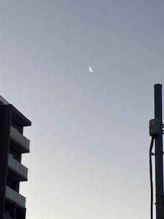 出勤しましたっ❣️