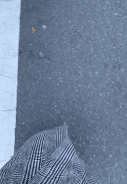 お布団恋しや🥹