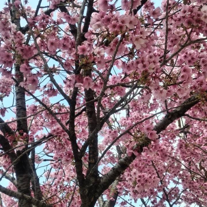 ふっかつ！