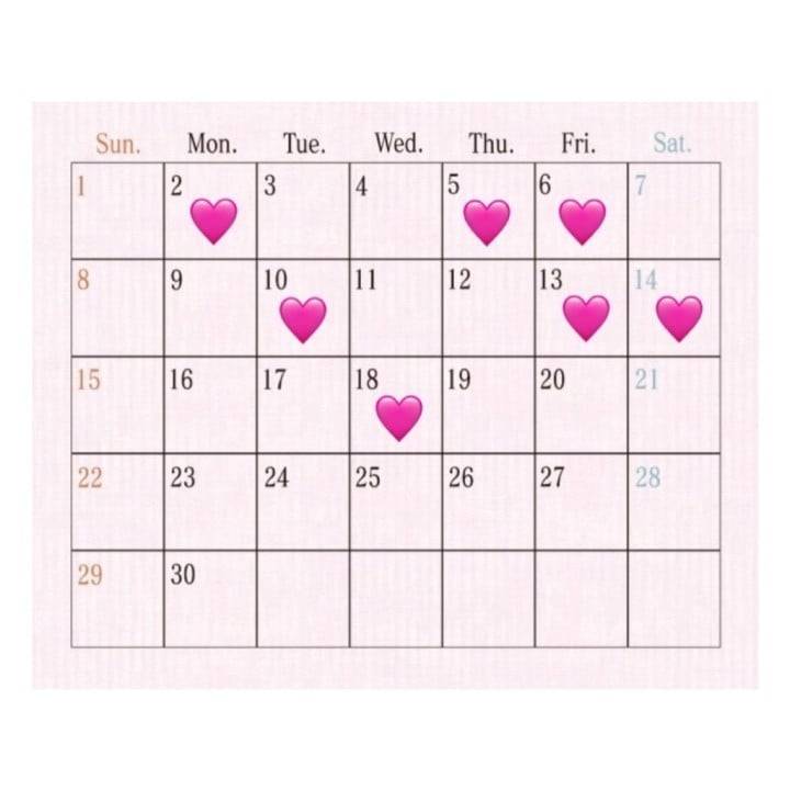 6月スケジュール🤍