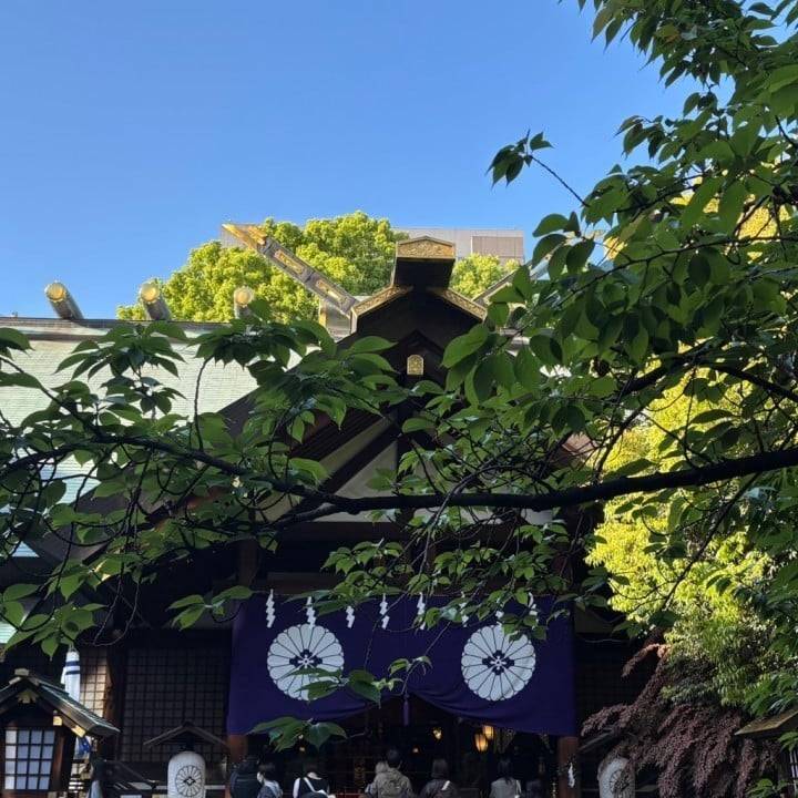 神社巡り⛩
