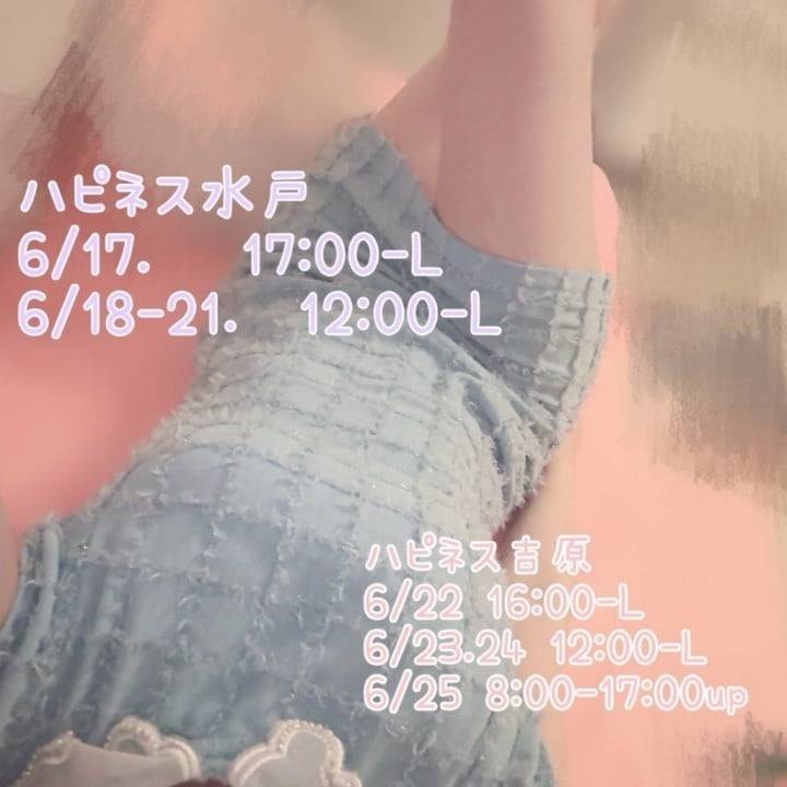 6月の予定🌵